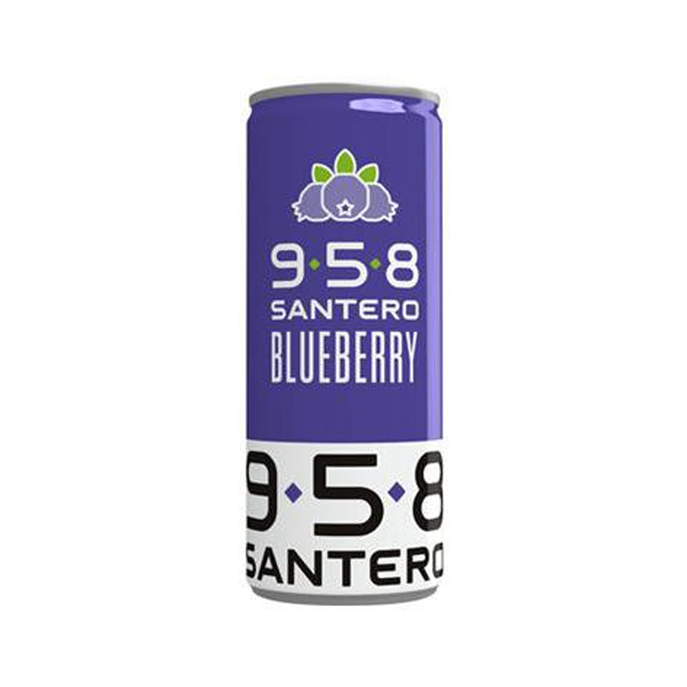 Espumante Santero 958 Blueberry 250ml
