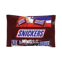 CHOCOLATE SNICKERS MINIS BAG 333GR