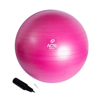 Pelota Acte Sports para Pilates Yoga Gym 65cm Rosa