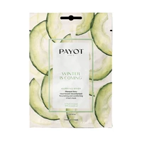 MASCARILLAS PAYOT WINTER IS COMING 19ML